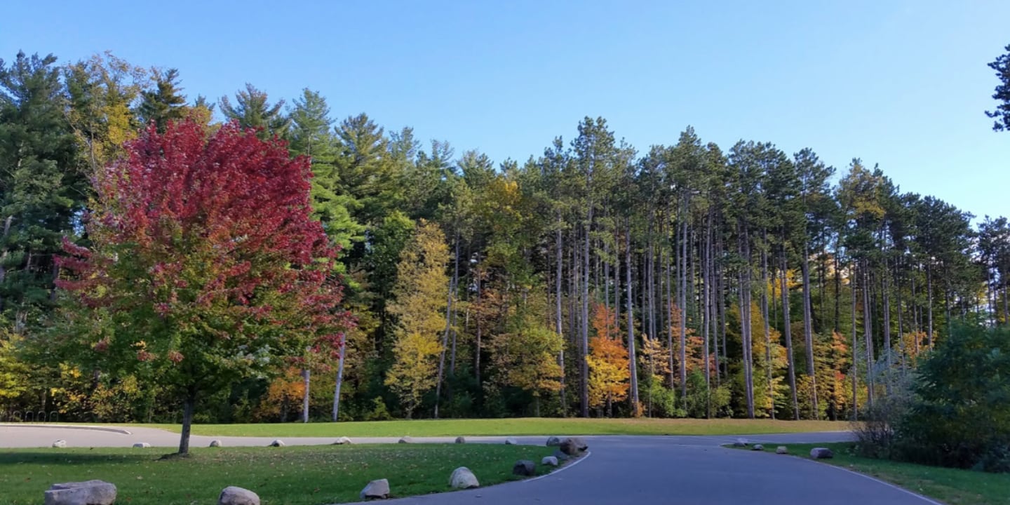 Park Place Picture