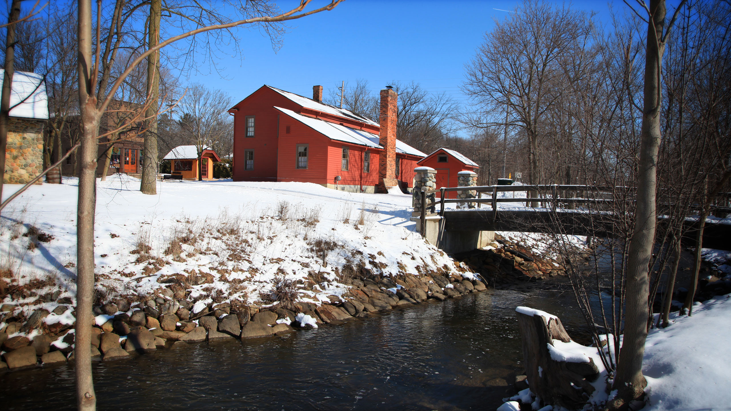 Spring Creek Picture